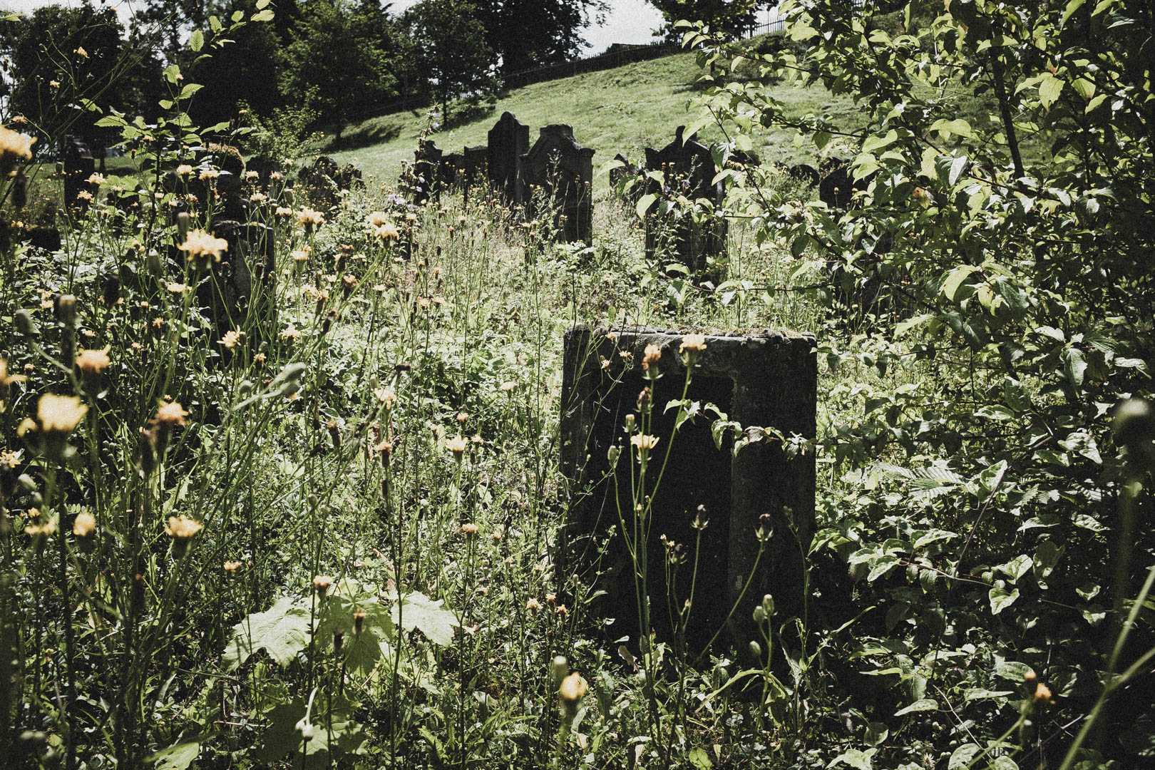 Spangenberg, Jüdischer Friedhof